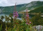 2002060903 skjerstadfjorden